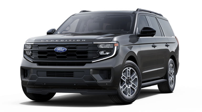 2025 Gray Ford Expedition Active RWD SUV