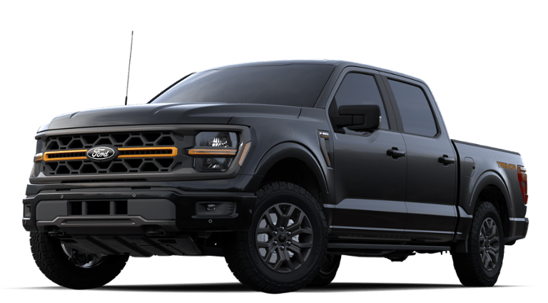 Headlamp and Fog Lamp Kit | FORD F-150 TREMOR 2024