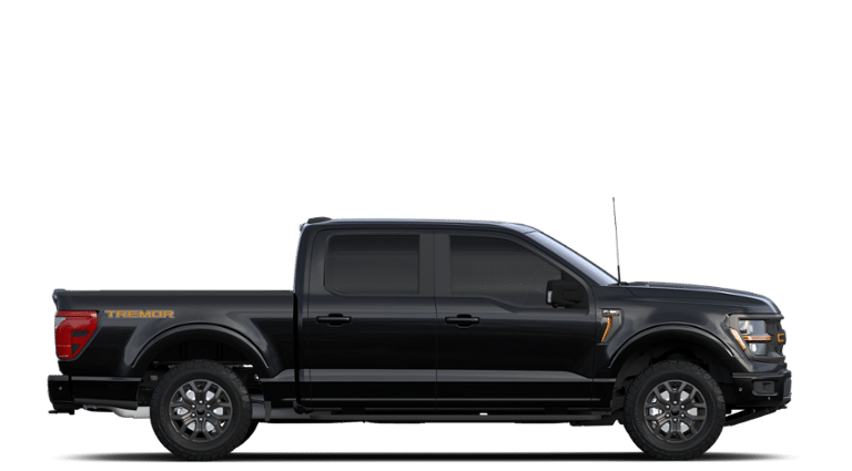 B-Pillar Kit | FORD F-150 TREMOR 2024 B-Pillar Kit | FORD F-150 TREMOR 2024