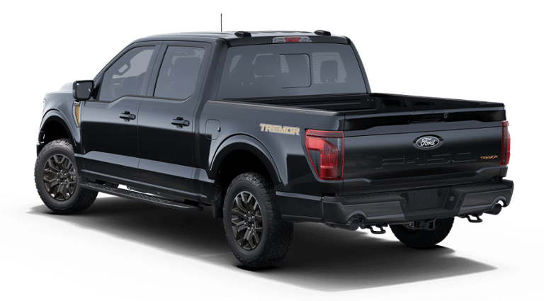 B-Pillar Kit | FORD F-150 TREMOR 2025 B-Pillar Kit | FORD F-150 TREMOR 2025