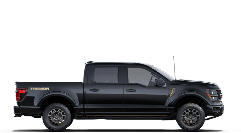 B-Pillar Kit | FORD F-150 TREMOR 2025 B-Pillar Kit | FORD F-150 TREMOR 2025