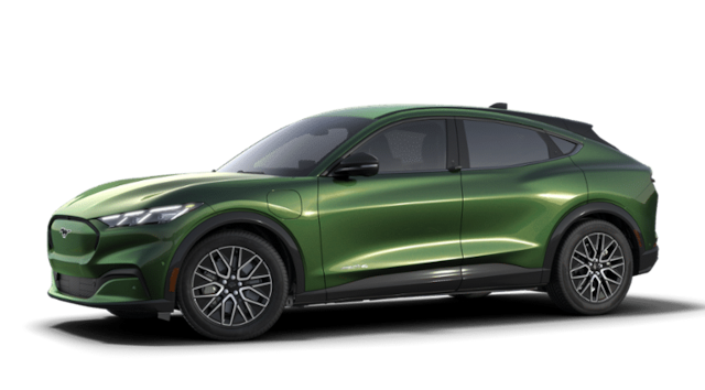2024 Ford Mache
