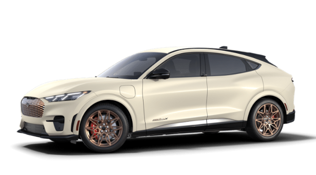 2025 Ford Mache