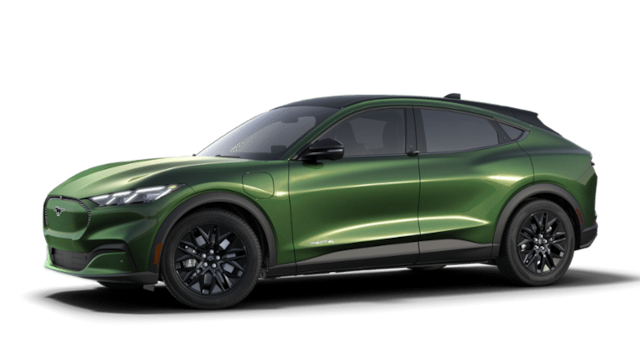 2025 Ford Mache