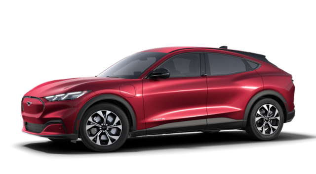 2025 Ford Mache