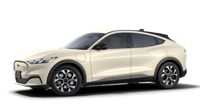 2025 Ford Mache