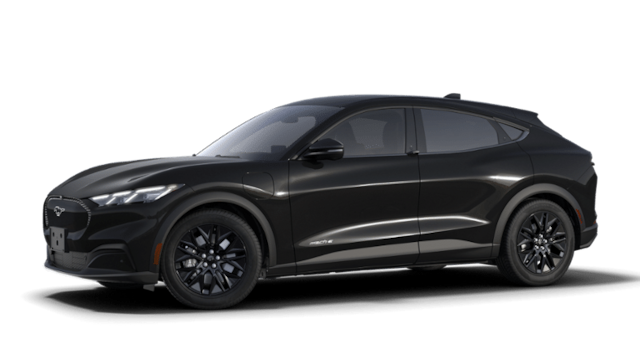 2025 Ford Mache