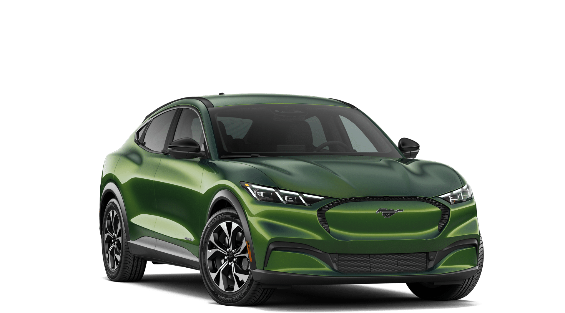 New 2026 Eruption Green Metallic Ford Select image 26